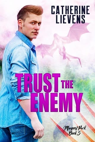 Trust the Enemy by Catherine Lievens