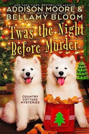 ‘Twas the Night Before Murder by Addison Moore