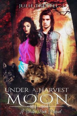 Under a Harvest Moon by Julie Trettel
