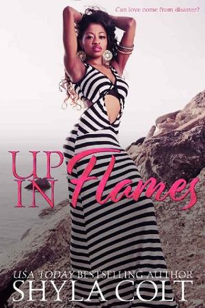 Up in Flames by Shyla Colt