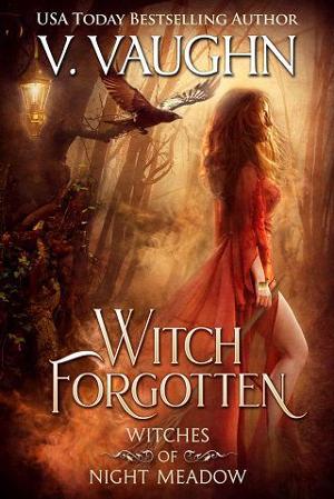 Witch Forgotten by V. Vaughn