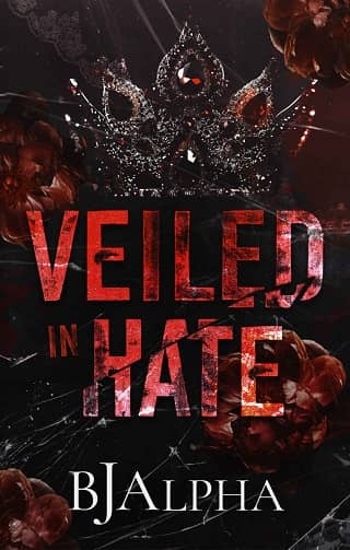 Veiled In Hate by BJ Alpha