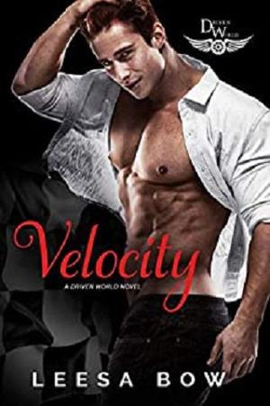 Velocity by Leesa Bow