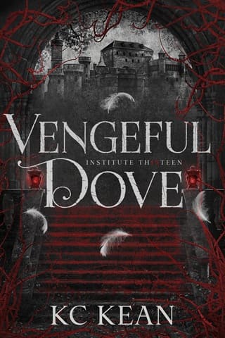 Vengeful Dove by KC Kean