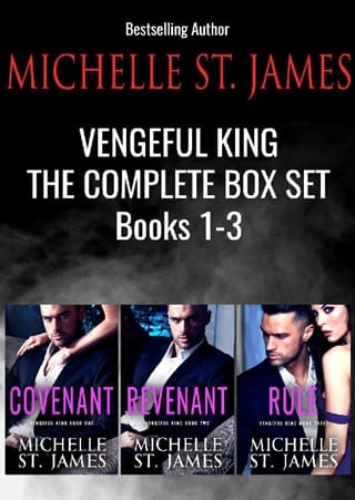 Vengeful King: The Complete Series by Michelle St. James