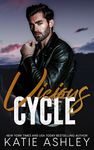 Vicious Cycle by Katie Ashley