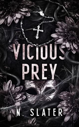 Vicious Prey by N. Slater