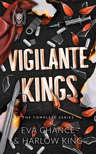 Vigilante Kings: The Complete Series by Eva Chance