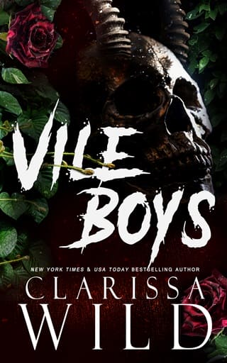 Vile Boys by Clarissa Wild
