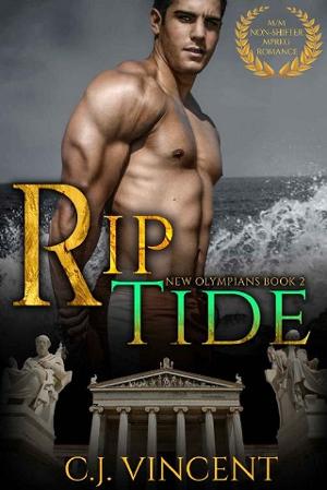 Rip Tide by C. J. Vincent