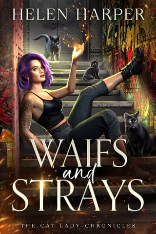 Waifs And Strays by Helen Harper