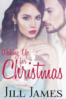 Waking Up For Christmas by Jill James