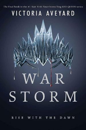 war storm book review
