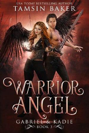 Warrior Angel by Tamsin Baker