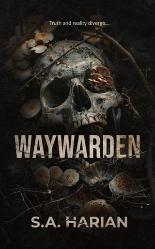 Waywarden by S.A. Harian