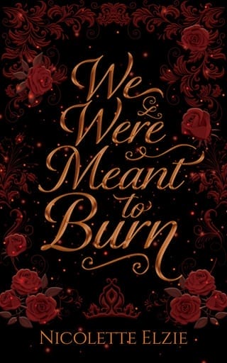 We Were Meant to Burn by Nicolette Elzie