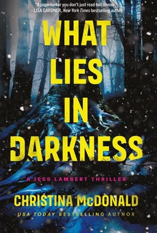 What Lies in Darkness by Christina McDonald