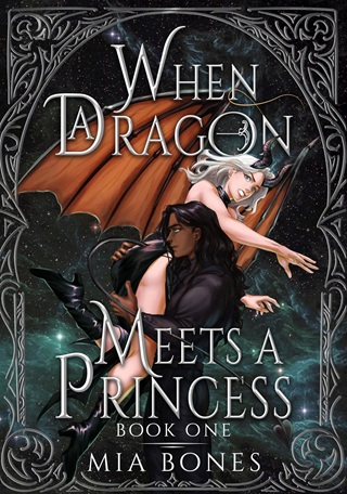 When a Dragon Meets a Princess by Mia Bones