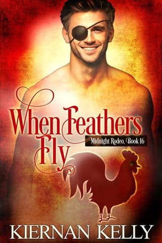 When Feathers Fly by Kiernan Kelly