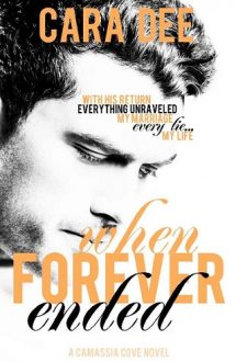 When Forever Ended by Cara Dee