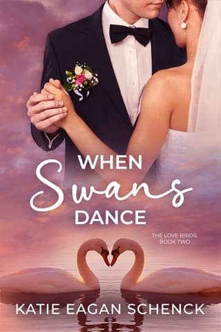 When Swans Dance by Katie Eagan Schenck