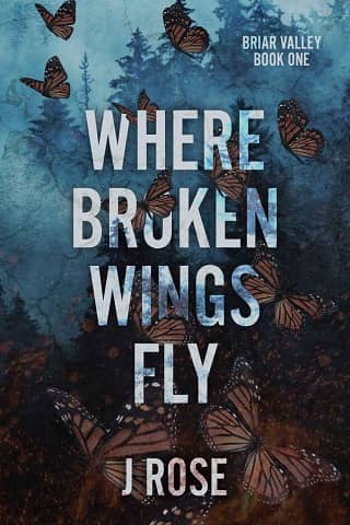 Where Broken Wings Fly by J Rose