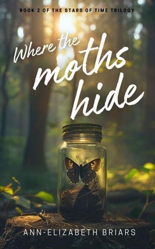 Where the Moths Hide by Ann-Elizabeth Briars