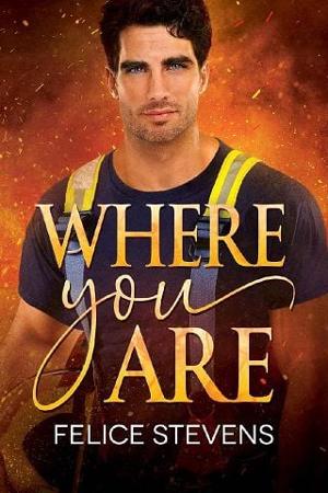 Where You Are by Felice Stevens