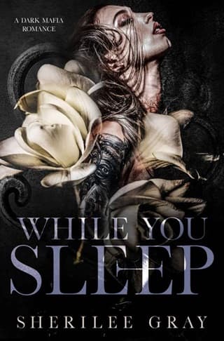 While You Sleep by Sherilee Gray