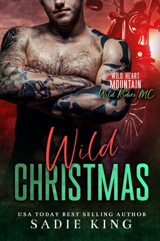 Wild Christmas by Sadie King