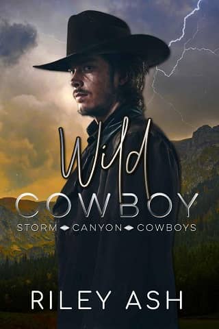 Wild Cowboy by Riley Ash