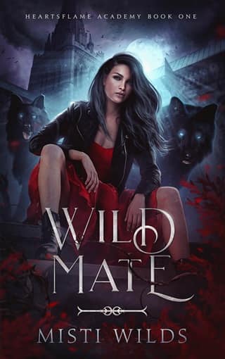 Wild Mate by Misti Wilds