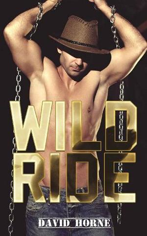 Wild Ride by David Horne