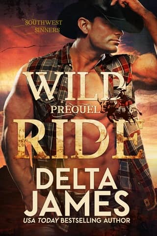 Wild Ride by Delta James