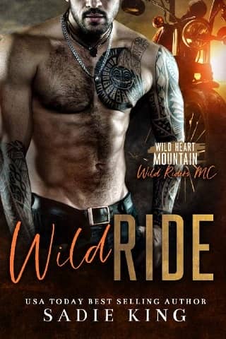 Wild Ride by Sadie King