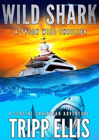 Wild Shark by Tripp Ellis