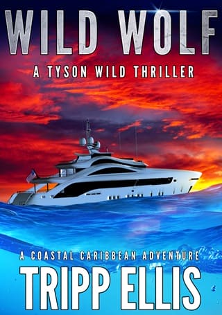 Wild Wolf by Tripp Ellis