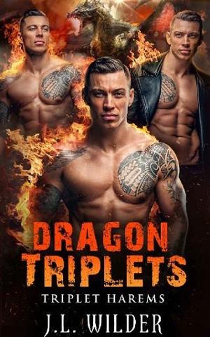 Dragon Triplets by J.L. Wilder