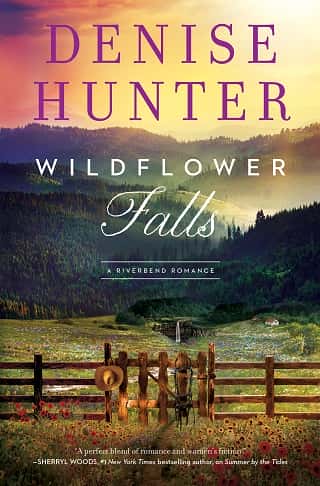 Wildflower Falls by Denise Hunter