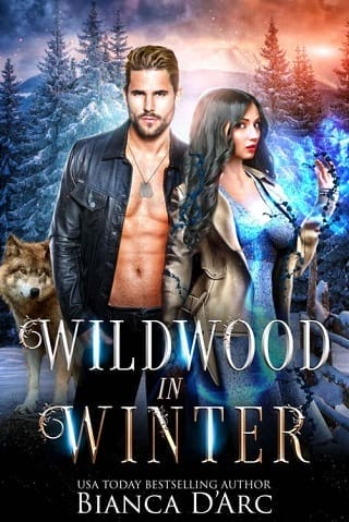Wildwood in Winter by Bianca D’Arc