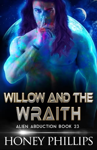 Willow and the Wraith by Honey Phillips