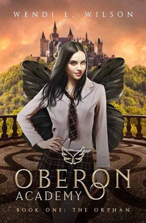 The Orphan by Wendi L. Wilson