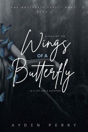 Wings of a Butterfly by Ayden Perry