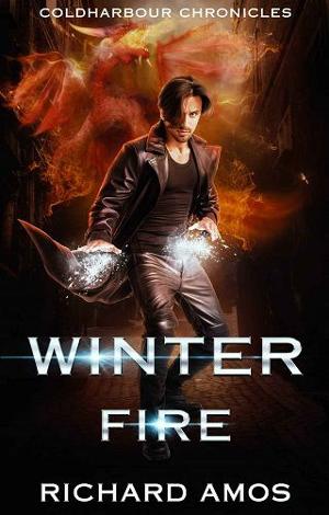 Winter Fire by Richard Amos