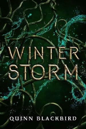 Winter Storm by Quinn Blackbird
