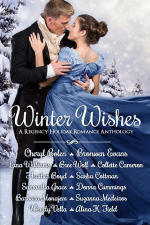 Winter Wishes by Bronwen Evans