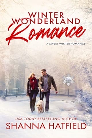 Winter Wonderland Romance by Shanna Hatfield