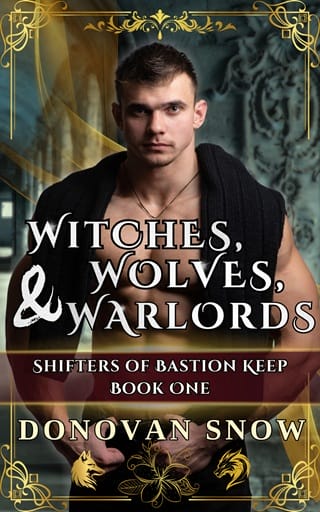 Witches, Wolves, & Warlords by Donovan Snow