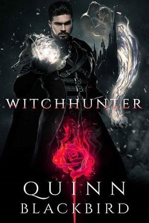 Witchhunter Box Set by Quinn Blackbird