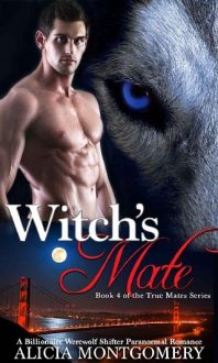 Witch’s Mate by Alicia Montgomery